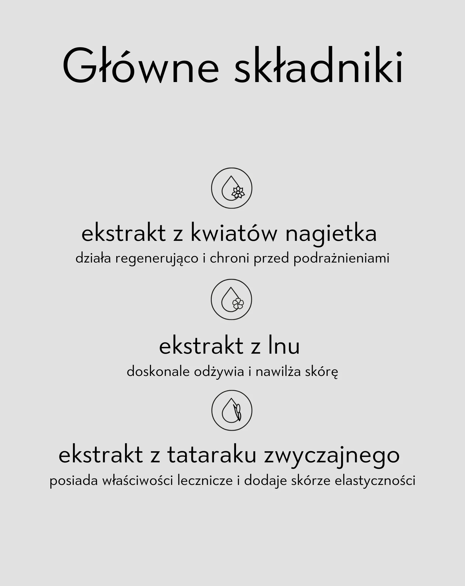 Czarna kredka do oczu z ekstraktami roślinnymi i gumką do rozcierania kreski Arrow Orphica - Image 2