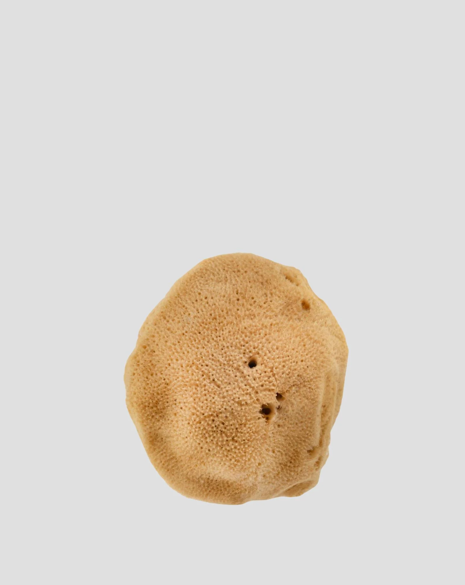 Naturalna gąbka morska brązowa 9,5 cm 02F hipoalergiczna i antybakteryjna Hhuumm - Image 3