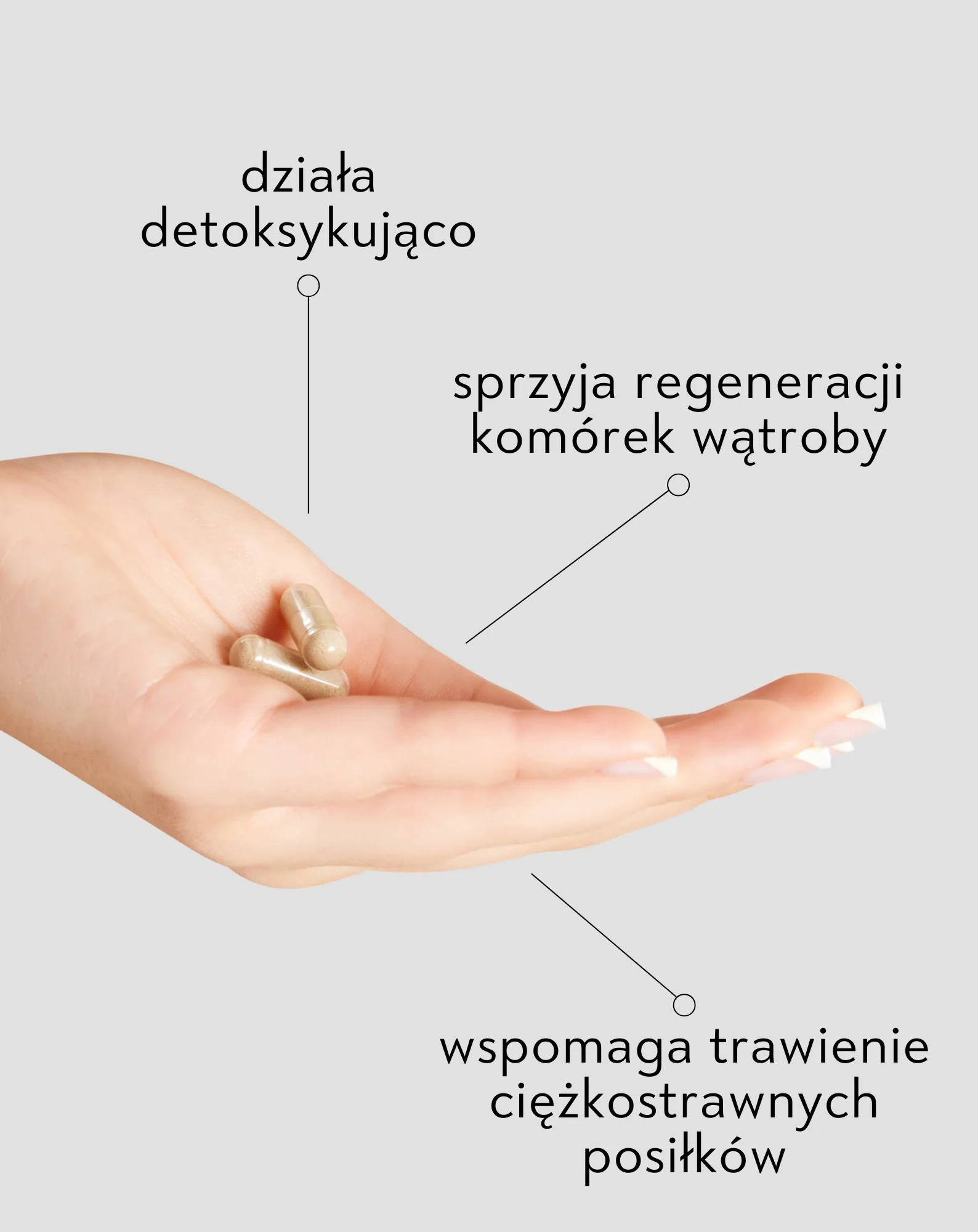 Ostropest plamisty tabletki Zdrowa wątroba Nutridome 60 kapsułek - Image 3