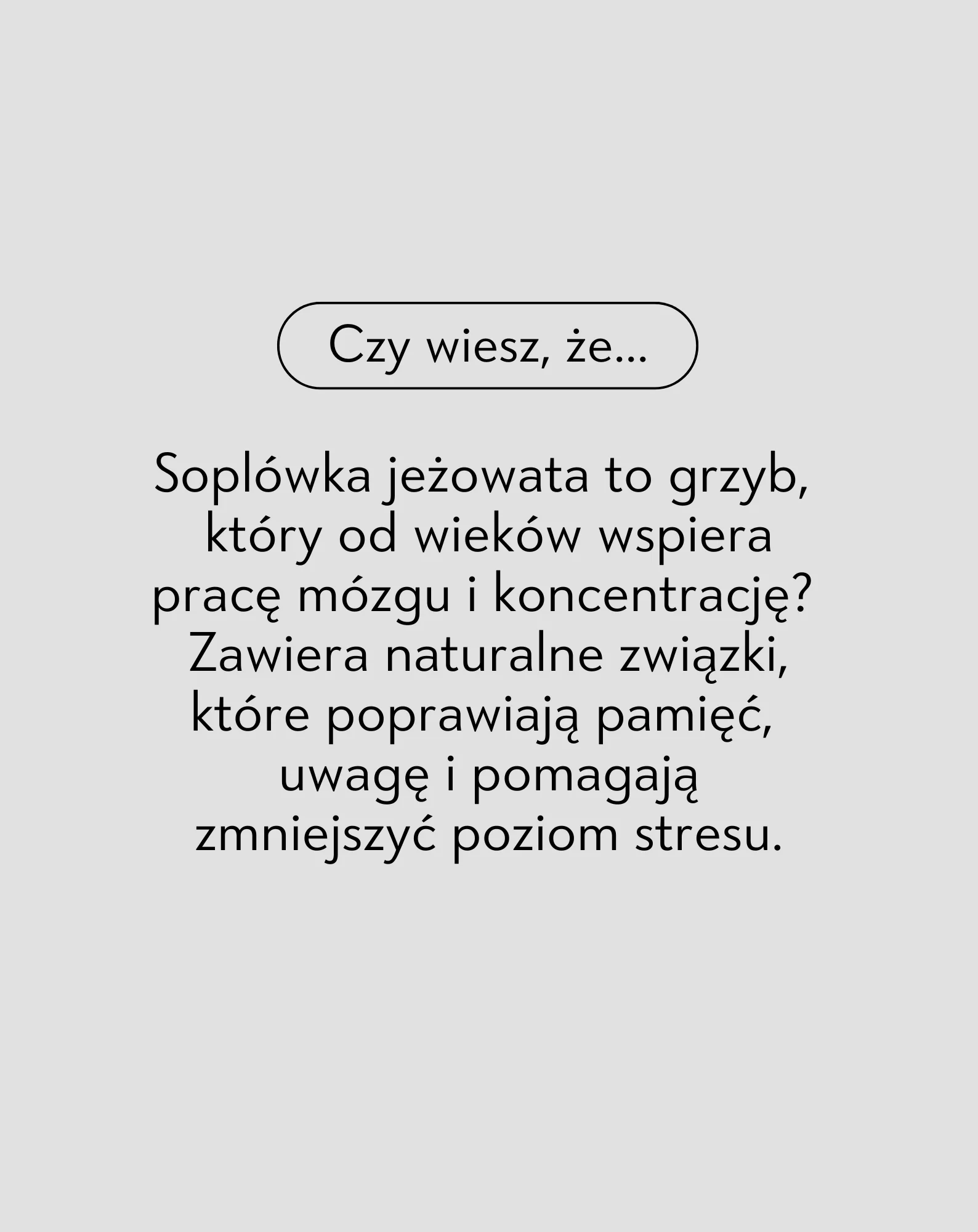 Soplówka Jeżowata Mel Skin tabletki z ekstraktem Lion’s Mane na pamięć i pracę mózgu 60 kapsułek - Image 4