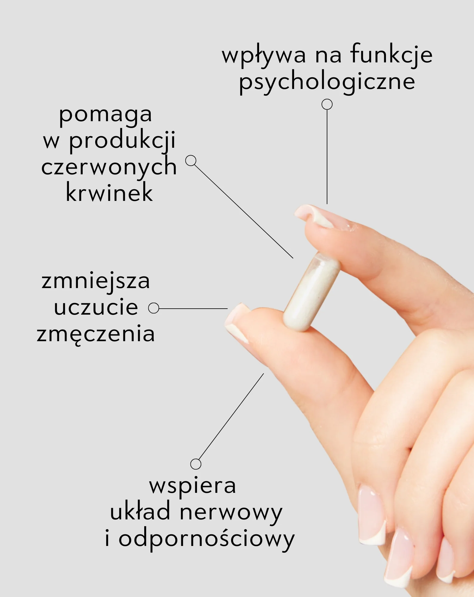 Witamina B12 Nutridome na odporność, zmęczenie i funkcjonowanie układu nerwowego 60 kapsułek - Image 3